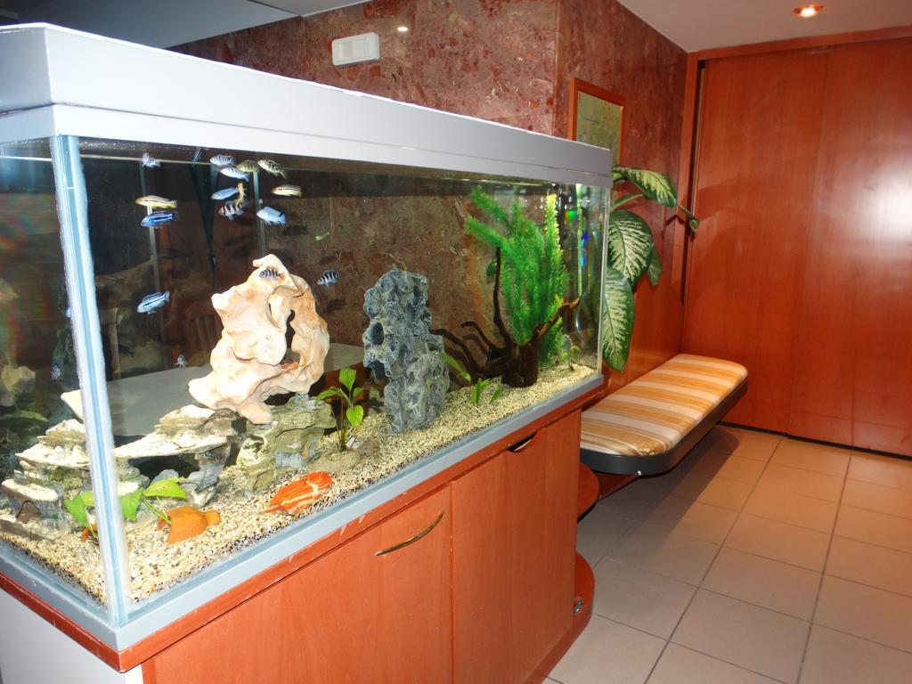 Hotel Moderno กรูเมลโลเดลมอนเต ภายนอก รูปภาพ